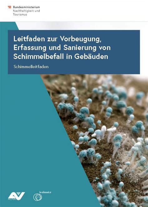 Der vorteil von hausmitteln gegen schimmel: Tipps gegen Schimmel in der Wohnung - LEBENSART