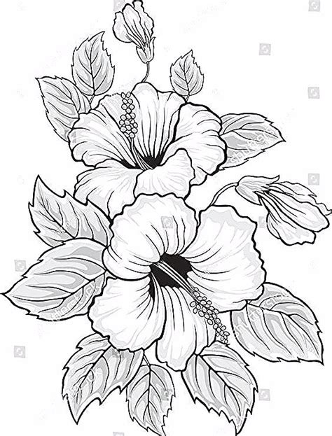 Tatoo vorlage hibiskus kostenlos : Desenhos de Flores + De 120 Modelos - Tatuagens Ideias - Florale Muster - #Desenhos #florale # ...