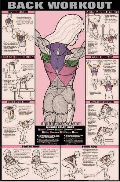 Injuries to this muscle are rare, but symptoms include pain in the latissimus dorsi: Best back workout chart for men & women and ultimate back muscle building routine and exercises ...