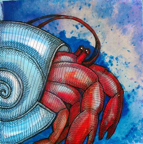 Learn how to draw hermit crab pictures using these outlines or print just for coloring. Hermit Crab Art | Crab art, Hermit crab, Crab painting