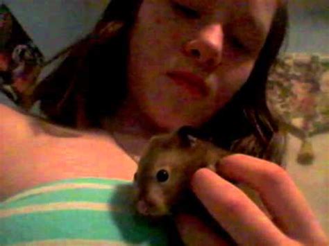 Топик — small living creatures foot crush!!! My YouTube Crush... Singer Crush... Hamster... And Fight ...