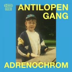 Nach dem faustfick das rohr leer geblasen. Antilopen Gang - Adrenochrom - Review - krachfink