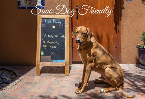 All places listed on dogfriendly.com require your dog to be leashed and under your direct control unless specified otherwise by an establishments (including parks and beaches) management. Dogs - Santa Fe Motel & Inn - Santa Fe NM