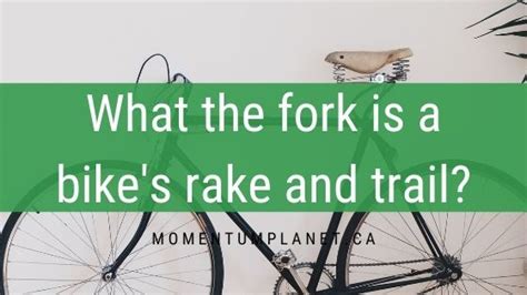 Increasing the rake will move the front tire farther from the bike. Know Your Bike: Rake and Trail - MomentumPlanet.ca