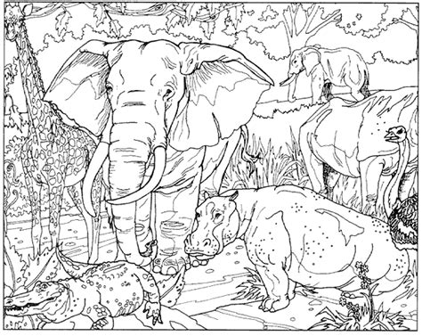 Abbiamo le più belle disegni di animali da colorare. - Greta Blu - Stampa & Colora- Disegni di animali ed ...