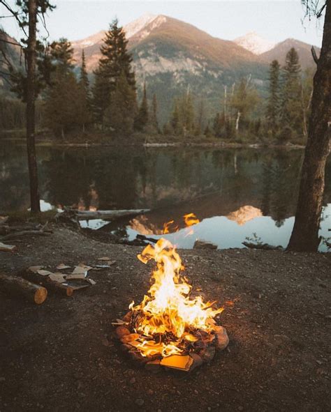 Less developed and dispersed camping is available throughout most of the forests. 302 best CAMPING PHOTOGRAPHY images on Pinterest | Forest ...