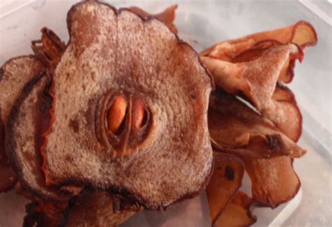 His objective was to calculate the surface area, volume, and density of the nasi impit cut in two different ways to understand what are the. 8 Petua Nasi Impit @ Ketupat Kekal Sedap dan Tahan Lama