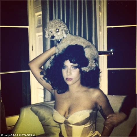 Fischer was expected to survive his injuries. Lady Gaga shows off her other cute pooch by wearing him on ...