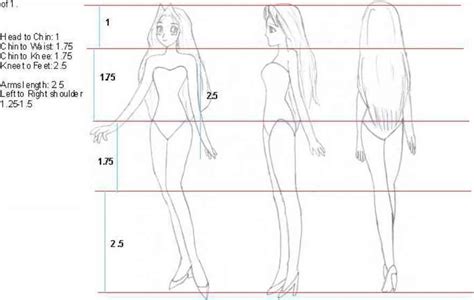 The female body figure is the actual accumulation of fats and muscles to the whole body anatomy of w woman. Body Proportion - Draw Anime - Joshua Nava Arts