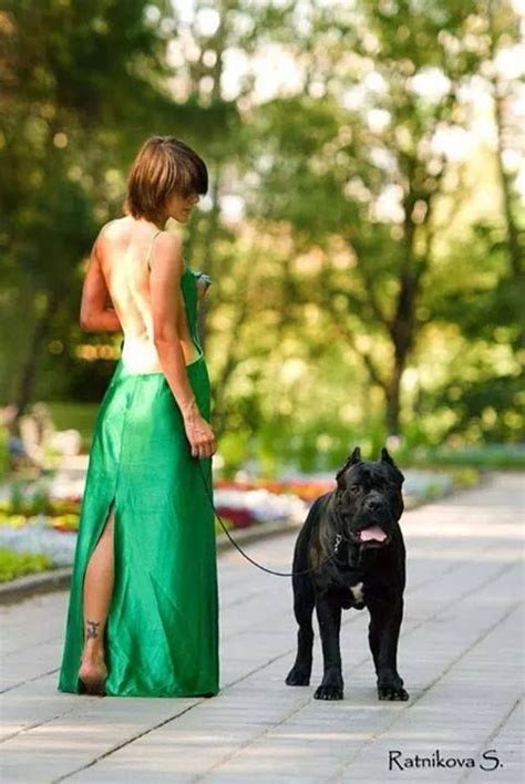 Most recent weekly top monthly top most viewed top rated longest shortest. Pin en Mujeres con perros de presa.