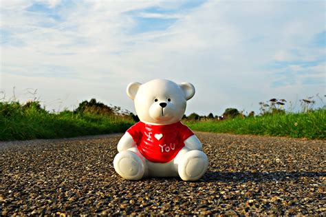These dating platforms earned a reputation through many years of operation. Disabled dating sites credible websites. 13 Best Dating ...