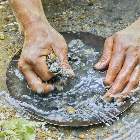 Check spelling or type a new query. Gold Panning in Coker Creek, Tennessee | USA Today