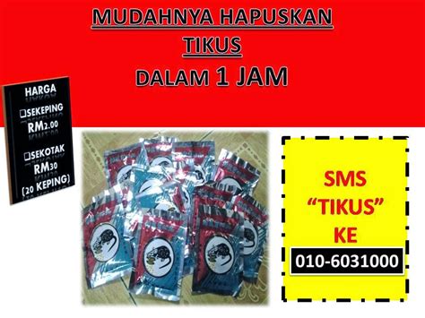 🙅‍♀️ cara paling berkesan untuk menghapuskan lipas. Ubat Lipas Berkesan - Jurupulih k
