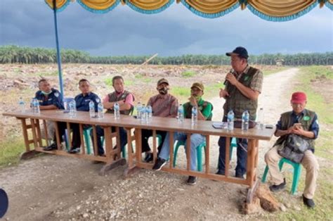 Pt ppi hadir penuhi kebutuhan pupuk di kota pariaman. PT PPI Siap Tampung Hasil Panen Jagung BUMP Trans Agro ...