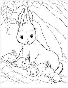 For boys and girls, kids and adults, teenagers and toddlers, preschoolers and older kids at school. Rabbit - Free printable Coloring pages for kids