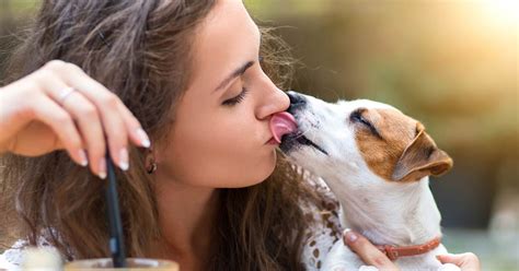 Obsessed with everything pop culture, entertainment, and tv & movies? No pooch smooches! Scientists say you shouldn't let your ...