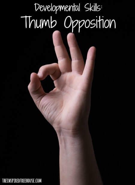 Opposition meaning, definition, what is opposition: thumb opposition title | Skills, Teaching strategies, Thumb