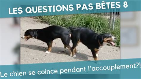 Maybe you would like to learn more about one of these? Elle Se Fait Sodomiser Par Son Chien