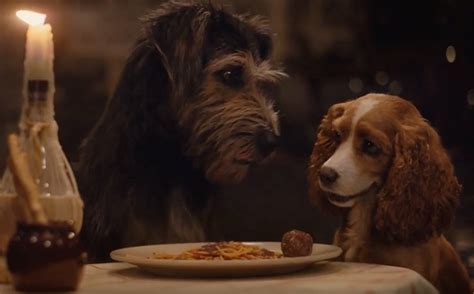 Susi és tekergő (2019) 86%. Ilyen lesz az élőszereplős Susi és Tekergő - Film-Sorozat ...