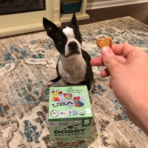 Furthermore, every bite of this kibble food will make them stronger and will prolong their life because of warding off any harmful elements. Choosing The Right Food For A Boston - Vets Perspective ...