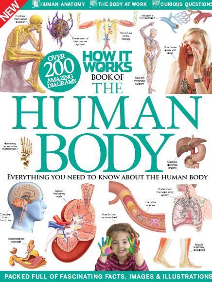 Visualizing the body in art, anatomy, and medicine. How It Works Book Of The HUMAN BODY PDF | Human body, Books, It works