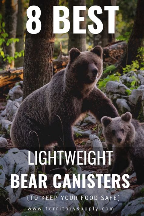 How bears canister protects your food? 8 Best Lightweight Bear Canisters for Backpacking | Bear, Camping backpack, Backpacking