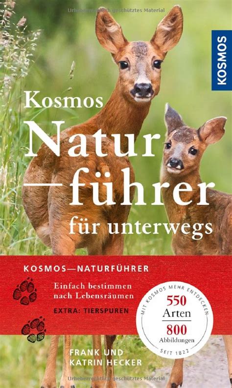 Tierspuren abbildungen / olsen lars hendrik tierspuren fahrten frassspuren the bright side of mathematics. Tierspuren Abbildungen - Braunwald Theme Trail For Children Swiss Family Fun - Ein einzelner ...