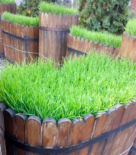 Balkon selbst bauen holzwanne für außenbereich selbst bauen terasse bauen gartenhaus in fachwerkbauweise bauen tradit. Holzwanne Selber Bauen : Diewirtschaft 6 Verkaufsargement ...