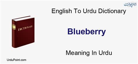 Pronunciation roman urdu is zabani sunana and. Blueberry Meaning In Urdu | Iss Ka Neela Bair اِس کا نیلا ...