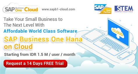 Maybe you would like to learn more about one of these? STEM Releases SAP Business One Hana on Cloud to Help ...