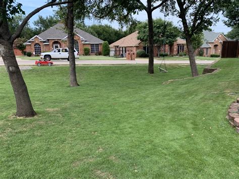 Purchase zoysia plugs, native grass ezplugs, plus the tools and supplies needed direct from our website. Zoysia Grass/Sod Supply and Installation Highland Village ...
