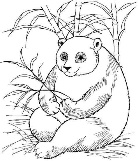 Ver más ideas sobre pandas, dibujos kawaii, kawaii. Ausmalbilder Panda zum Drucken | WONDER DAY