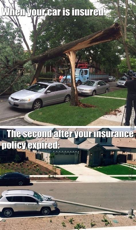 Insurance Memes. Best Collection of Funny Insurance Pictures
