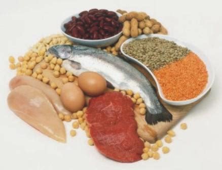 Rangkuman materi, contoh soal makromolekul : Fungsi Protein, Karbohidrat, Vitamin, dan Lemak - Zakapedia