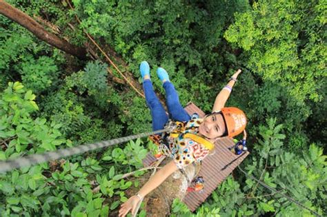 Modern canopy tours were invented in the 1970's when the rain and cloud forest canopies were the last remaining frontiers of botany, zoology, entomology and ecology. Adrenaline Junkie Experience Gifts in Massachusetts ...