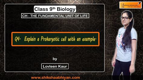 What would happen to the life of a cell if there was no golgi apparatus? Eukaryotic Cells Lack A Nucleus Brainly - Jinda Olm