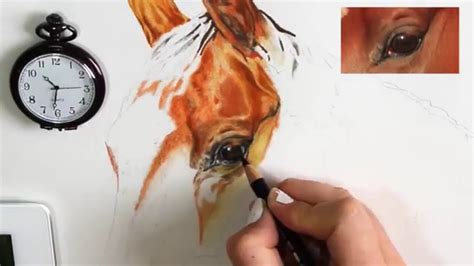 Colecție de la neo albios. TUTORIAL #2 - How to draw a realistic Horse's eye in ...