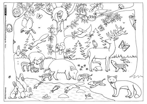 Unserer mandala ausmalbilder bieten wir ihnen im pdf format zum gratis download an. Natur Wald Herbst Tiere Malvorlage Kindergarten | Natur ...