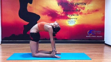 Want to learn how to do camel pose, also called ustrasana? MHY - YOGA CAMEL POSE - YouTube