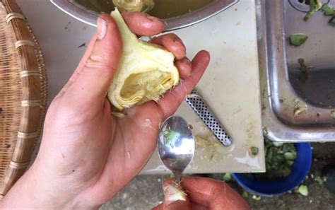 So, for your next family dinner, special party or office gathering olive garden can help you impress guests with delicious italian specialties. How to Preserve Artichokes | Pip Magazine - Sustainability ...