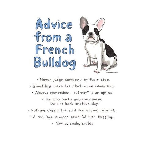 He is as brave as a bulldog and as tenacious as a lobster if he gets his claws. Puppies for Sale | French bulldog puppies, Puppy quotes, French bulldog quotes