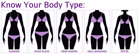 Most women have a preference for thinner body types, less muscular development, and less body fat. Erika's Elegance: Slick Sheath