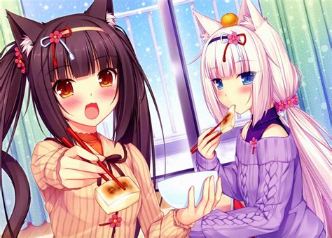 We did not find results for: Sushi in the anime Neko Para wallpapers and images - wallpapers, pictures, photos