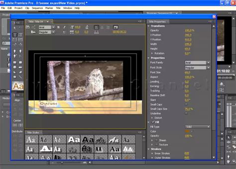 Explosion elements and titles | premiere pro mogrt 28720706. Как Установить Adobe Premiere Elements Templates ...