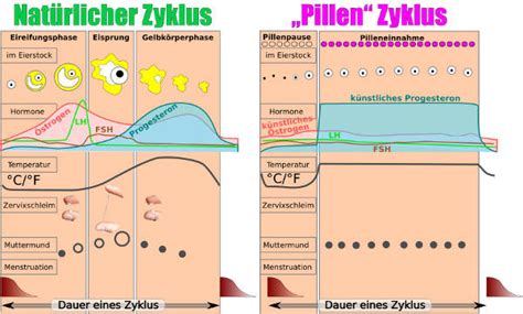 Wann seit ihr nach absetzen der pille schwanger geworden ? Schwanger werden nach Pille