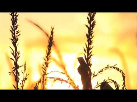 And what are the criteria? Shall I compare thee to a summers day... - YouTube
