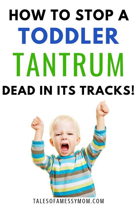 Toddler Tantrums: Why They Happen and How to Handle Them ...