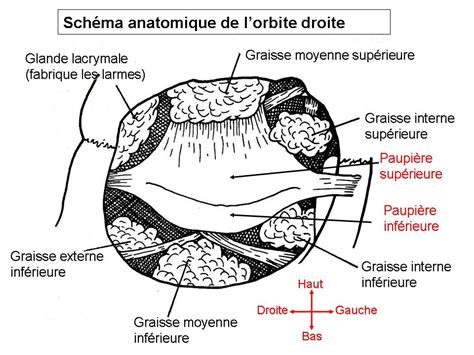 Vous recherchez un centre esthétique qui propose la blépharoplastie sans chirurgie de la paupière à lyon ? Chirurgie des paupières Lyon : Dr Bayol, blépharoplastie à ...