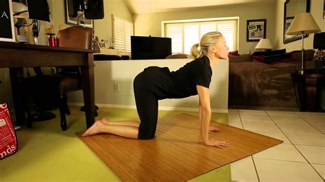In the cueing section, i have indicated the position cues i usually use with a p. Cat & Cow Pose - Holy Yoga - YouTube