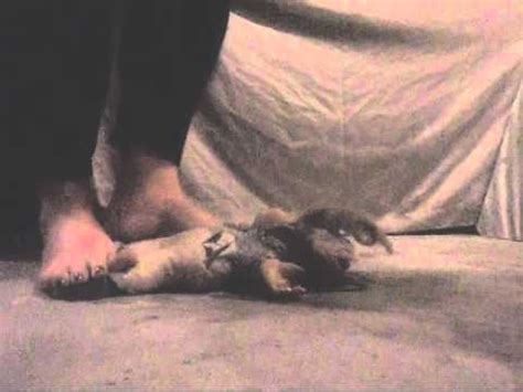 Форум — архив форума фетишистов. crushed doll under my foot - YouTube